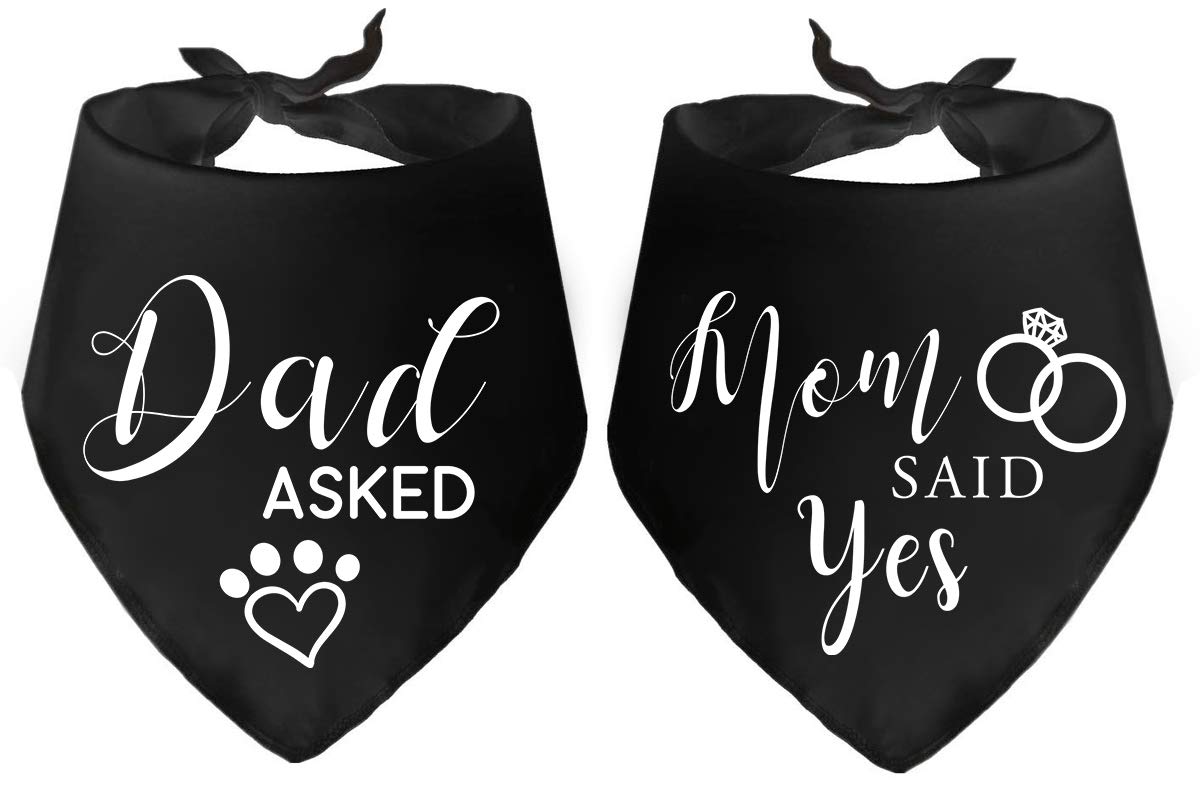 Yangmics Direct Dad Asked Mom Said Yes Dog Black Bandana Pet Wedding Triangle Bibs Engagement Announcement Gifts for Small Mediu