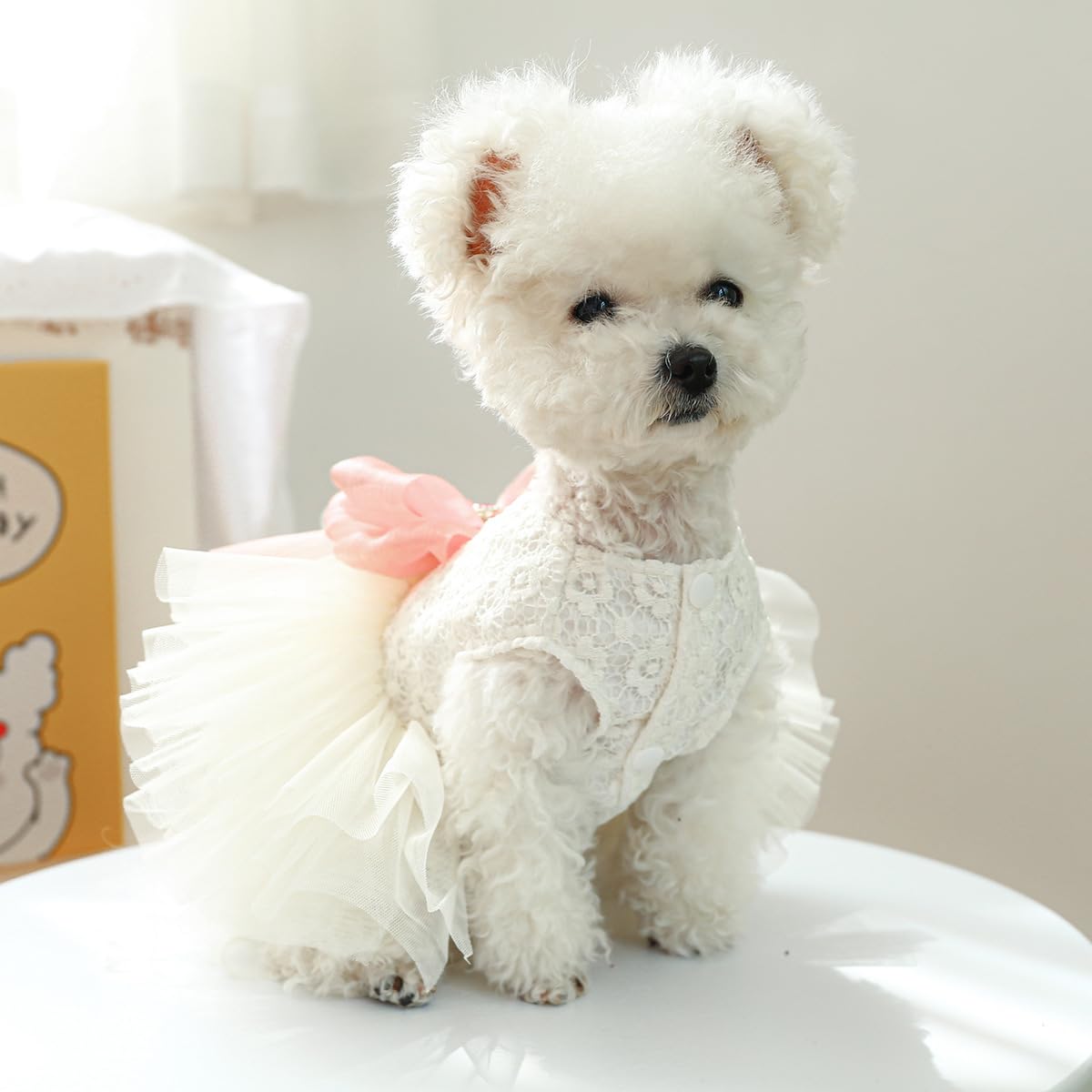 Clopon Dog Cothes For Small Dogs Tutu Dress For Girl Dog Chihuahua Puppy Outfits Flower Dresses For Teacup Dogs S