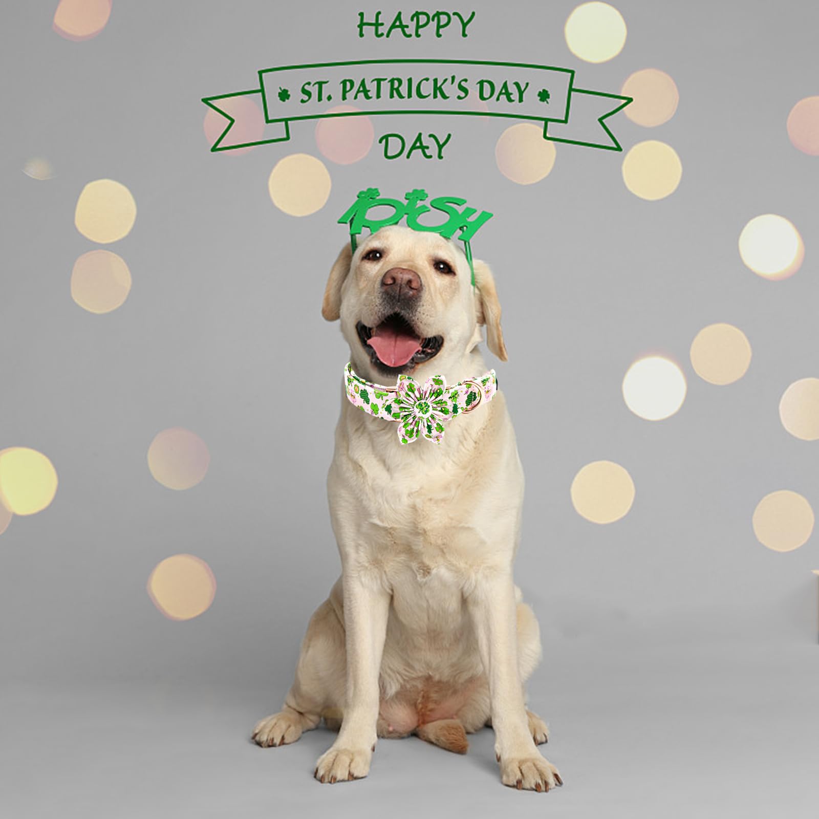 Elegant little tail St Patrick's Dog Collar with Flower Pink Cute Colver Cotton Shamrock Pet Collar Trefoil Puppy Collar Flower