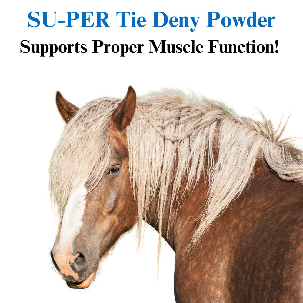 SU-PER Energy Horse Supplement - Supports Muscle Function & Circulation - 2.5 lbs (2 Pack)