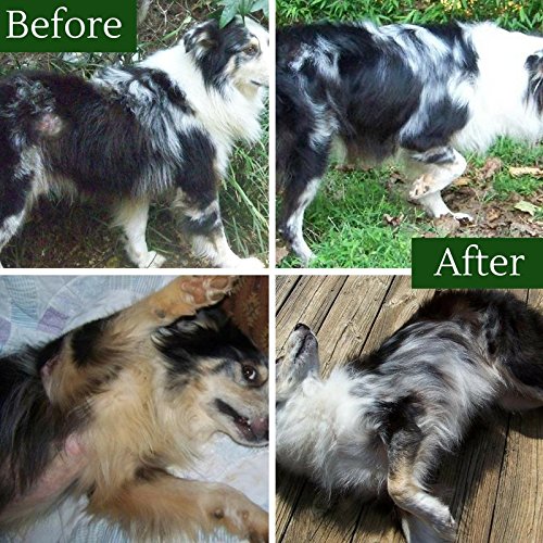 Davis TheraCoat for Pets