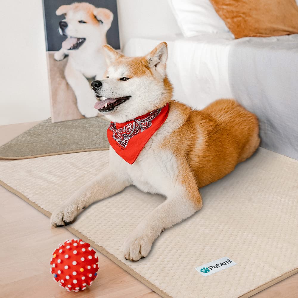 Petami Waterproof Dog Blanket, Leakproof Xl Pet Blanket For Large Dogs, Furniture Sofa Couch Cover Protector, Fleece Cat Throw Bed Crate Kennel, Reversible Washable Soft Plush, Twin 60X80 Taupe Beige