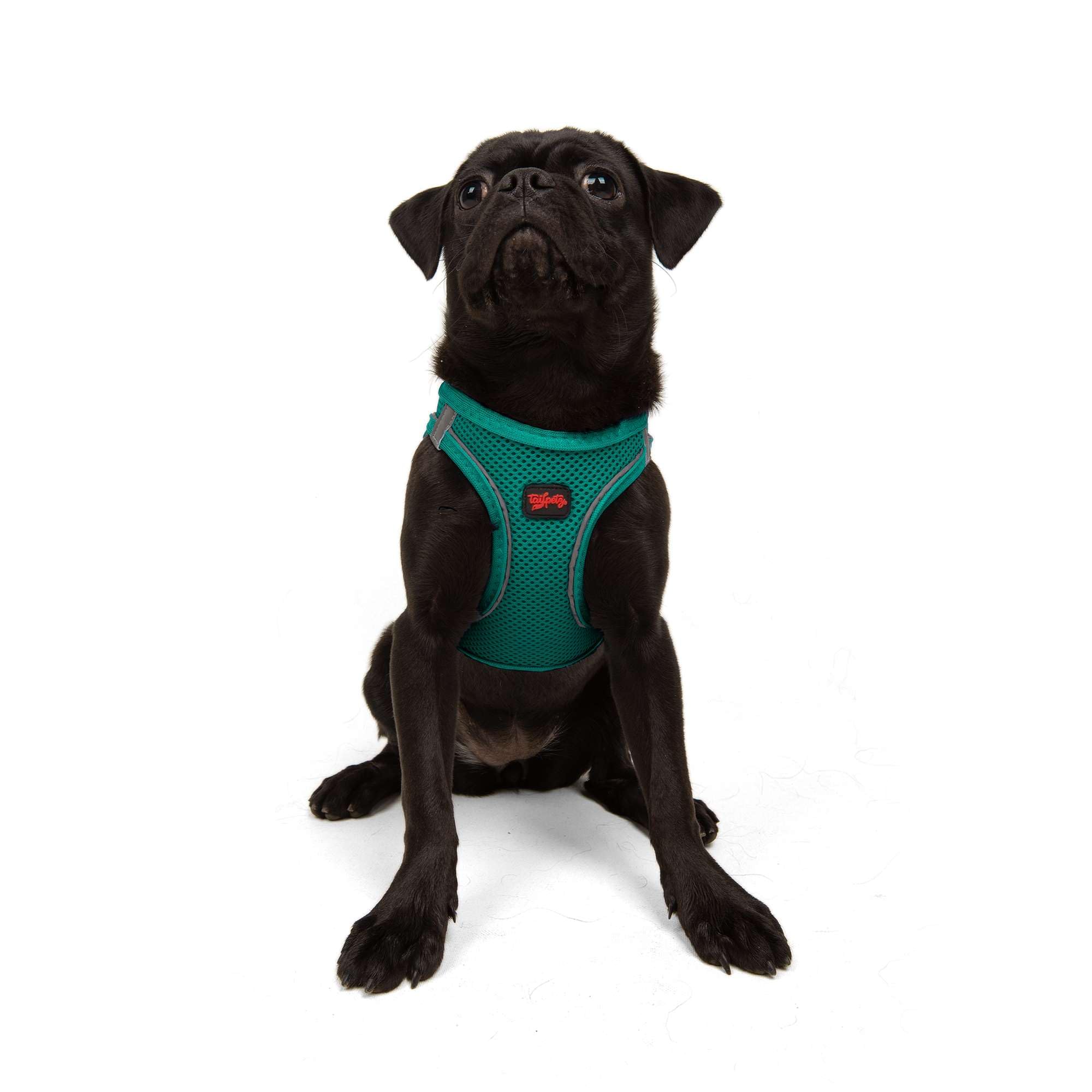 Tailpetz Dark Green Dog Harness Medium Sized Dog, Adjustable No Pull Step in Harness Medium Size Dog, Reflective Puppy Harness f