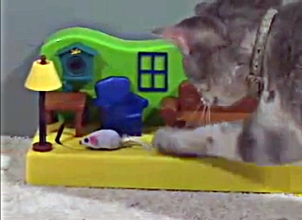 Cat Dancer Products Mouse In The House 20 In