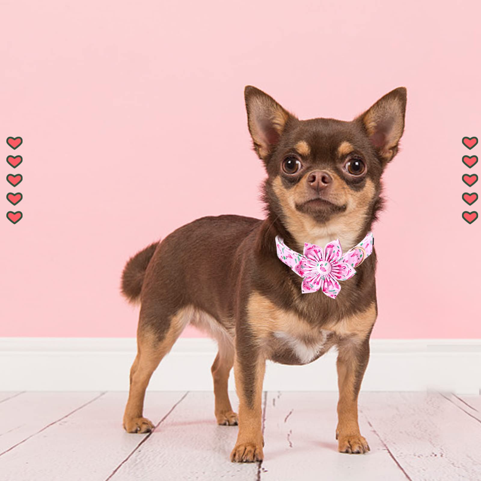 Lionheart glory Valentine 's Day Dog Collar with Flower Dog Collar for X-Large Dogs, Pink Dog Collar with Bowtie Spring Dog Coll
