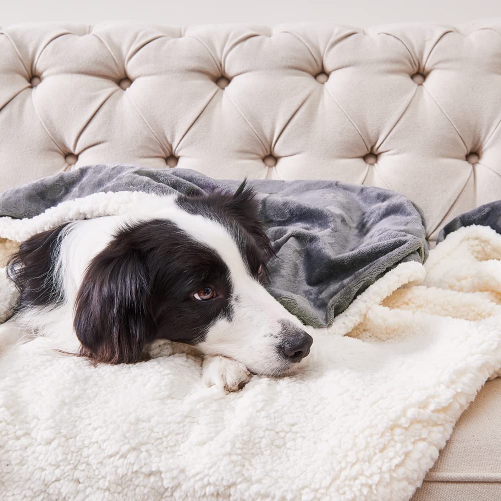 Qeils Dog Blankets For Medium Dogs - Waterproof Cat Blanket Washable - Sherpa Fleece Puppy Blanket, Soft Plush Reversible Throw Protector For Bed Couch Car Sofa, 50'X60', Dark Grey