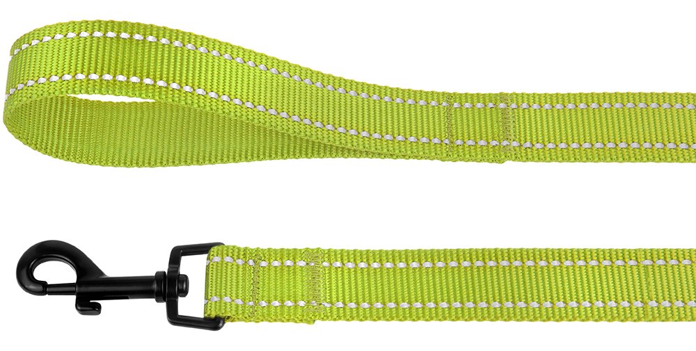 Collardirect Nylon Dog Leash 5Ft For Daily Outdoor Walking Running Training Heavy Duty Reflective Pet Leashes For Large, Medium & Small Dogs (M, Lime Green)