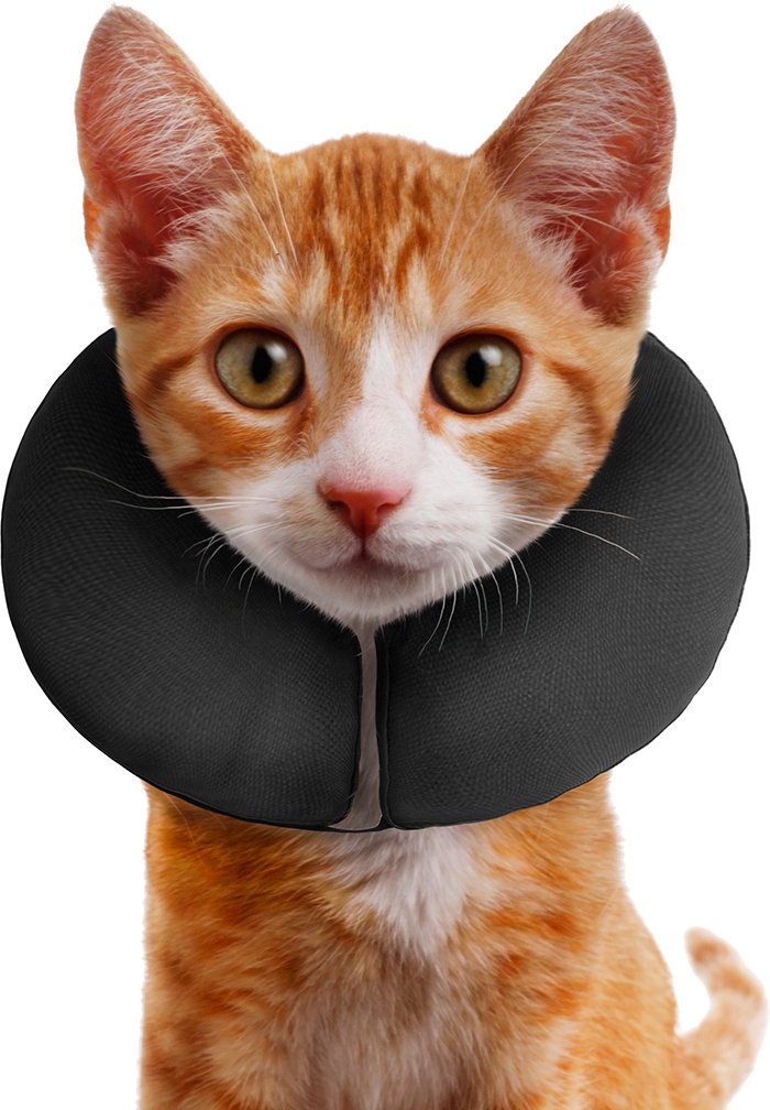 ZenPet Protective Inflatable Recovery Collar for Dogs and Cats - Soft Pet Collar Does Not Block Vision E-Collar - Designed to Pr