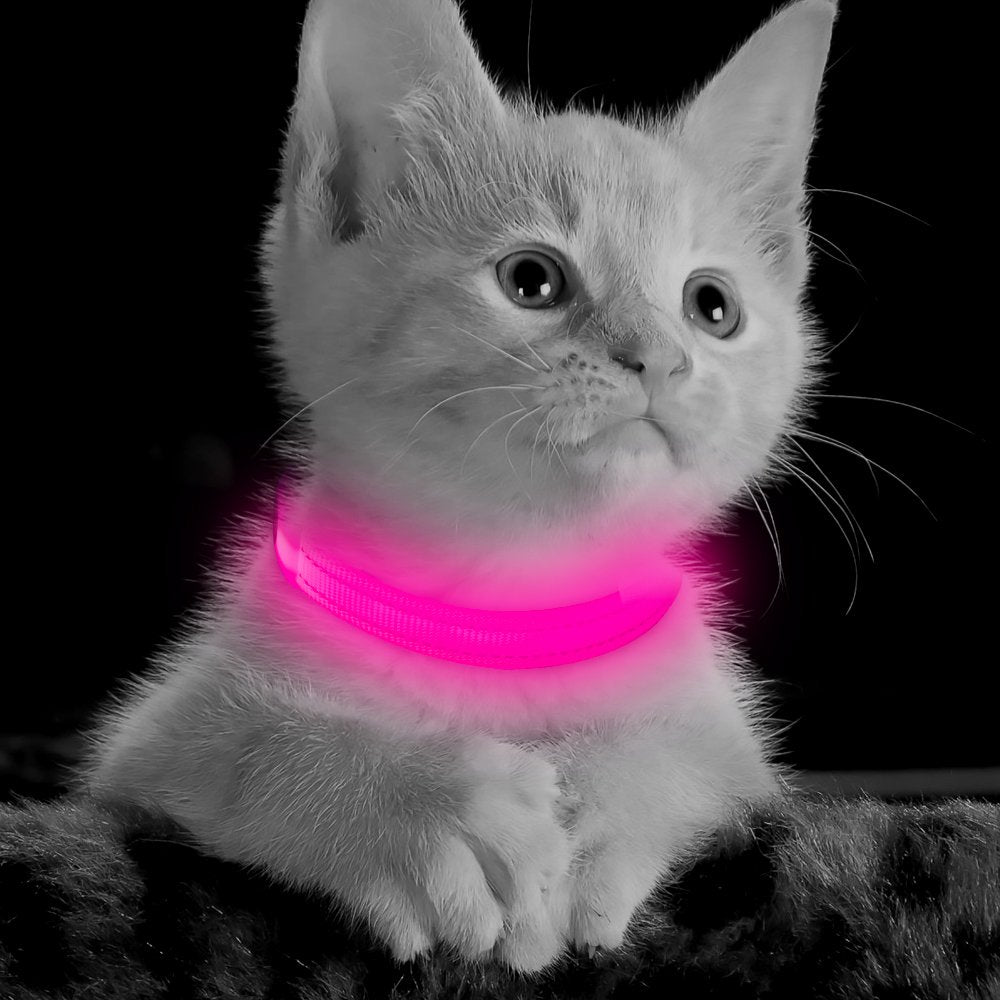 Bseen Led Dog Collar Light - Usb Rechargeable Glow In The Dark Puppy Collar, Light Up Dog Collars For Small Dogs, Safety Dog Lights For Night Walking (Pink, Xs)