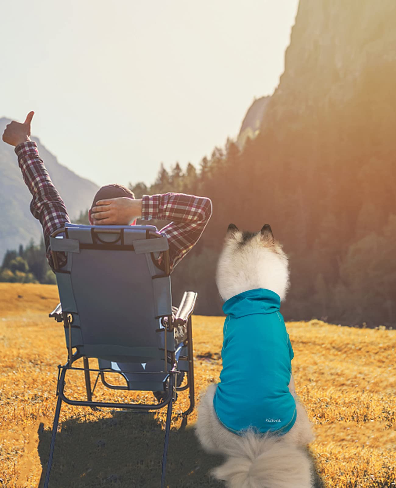 Kickred Basic Dog Hoodie Sweatshirts, Pet Clothes Hoodies Sweater With Hat And Leash Hole, Soft Cotton Outfit Coat For Small Medium Large Dogs