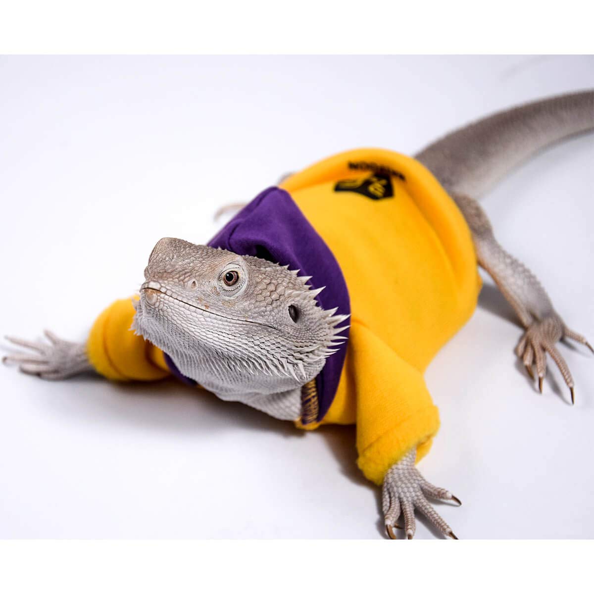 Watfoon Lizard Clothes Bearded Dragon Sweater Winter Hoodies Warm Coat Soft Touching For Leopard Reptile Gecko Anole Amphibians
