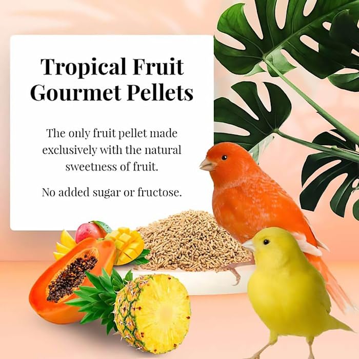LAFEBERS Tropical Fruit Gourmet Pellets Pet Bird Food, No Added Sugar, Made with Non-GMO and Human-Grade Ingredients, for Canar