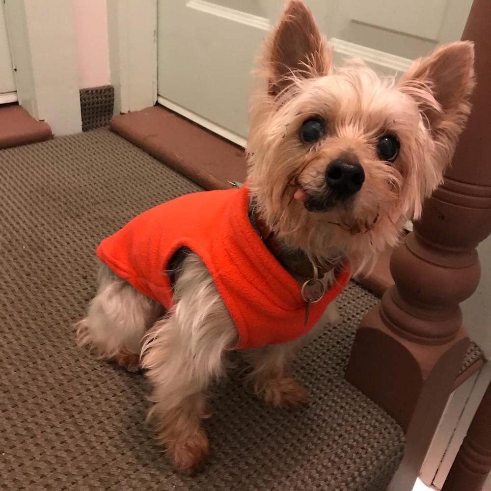 Gooby Fleece Vest Dog Sweater - Pumpkin, Medium - Warm Pullover Fleece Dog Jacket With O-Ring Leash - Winter Small Dog Sweater C