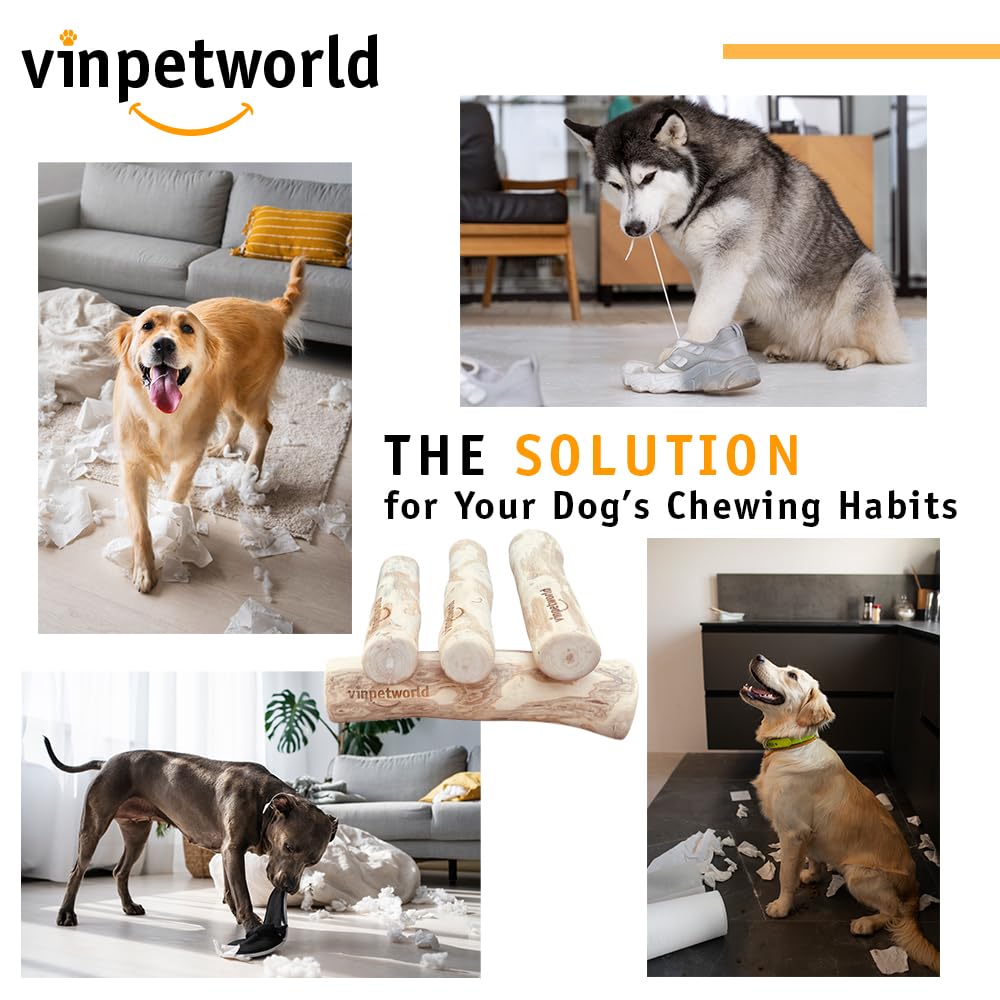 Vinpetworld Coffee Wood Dog Chew Toy | 100% Natural From Vietnam Forest (R) | Safe And Long-Lasting Real Coffee Wood | A Perfect Toy For Your Joyful Four-Legged Friend - Size S