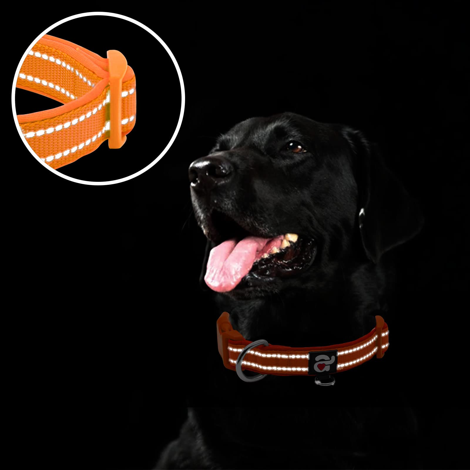 Azuza Reflective Dog Collar, Soft Neoprene Padded Pet Collar With Id Tag Ring, Adjustable For Large Dogs,Orange,L