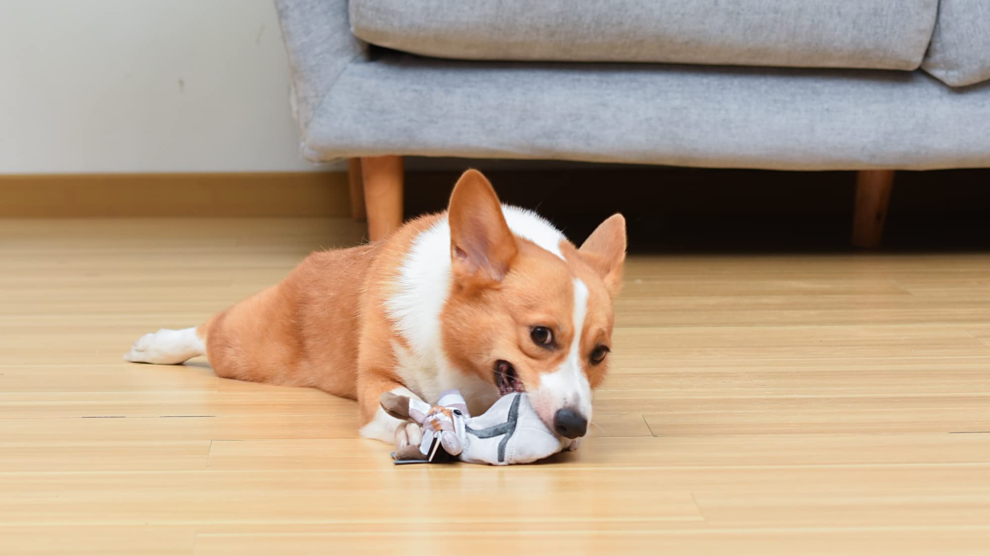 Star Wars For Pets The Mandalorian Plush Flattie Dog Toy With Squeaker, Low-Stuffing Flat Dog Toy | The Mandalorian Toy For Dogs