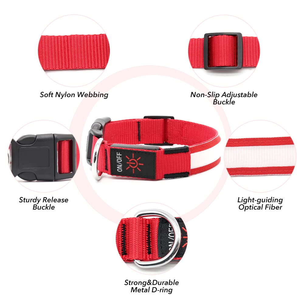 Bseen Light Up Dog Collar - Rechargeable Led Dog Collar - Water-Resistant Reflective Puppy Collars- Glow In The Dark Christmas Dog Lights For Night Walking (Ruby Red, Medium)