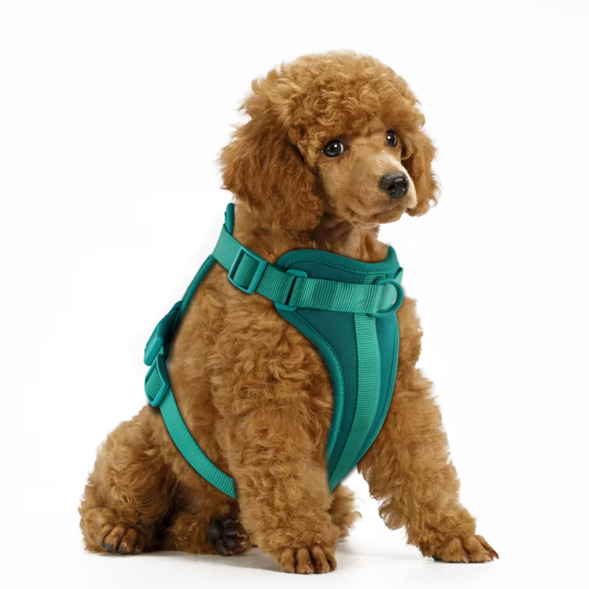 Wisedog No Pull Lightweight Dog Vest Harness With Soft And Comfortable Cushion, Breathable Mesh, For Small Medium Large Dogs Walking (S(Neck: 9.84'-14.17';Chest: 14.17'-22.05'), Emerald Green)
