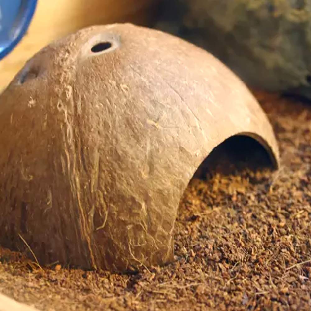Pinvnby 2 Pcs Natural Coconut Reptile Hideouts Lizard Coco Hut Hermit Crab Hut Aquarium Fish Hide Cave Spider Snail Climber Toys