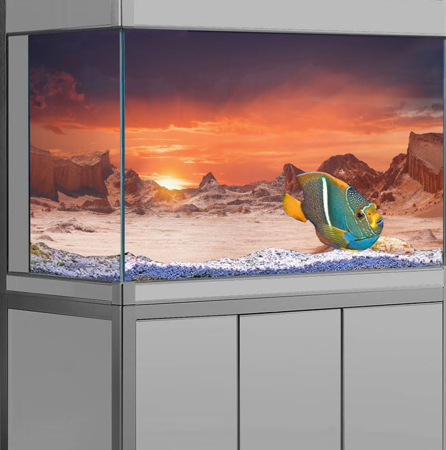 48X18IN Sun and Desert Moon Themed Reptile Habitat on Orange Durable Decorative Background, Terrarium Background with 10EVA Doub