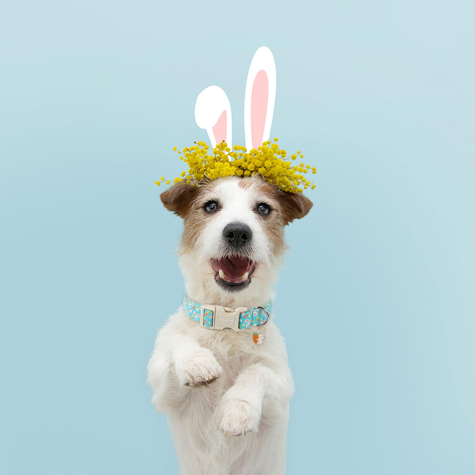 Dogwong Easter Dog Collar, Cute Bunny Carrot Print Dog Collars Adjustable Easter Day Puppy Heart Dog Collar For Small Medium Lar