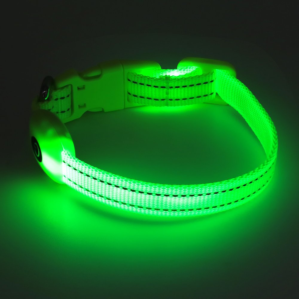 Light Up Dog Collar For Small Dog,Vizpet Xs Adjustable Size Nylon Collar Usb Rechargeable Bright Safety Pet Collar For Cats Dogs (Green)