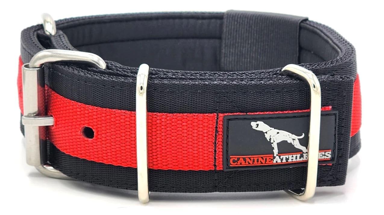 Canine Athletes 2'' Wide Elite Max V2 Neoprene Padded Thick Working Dog Collar For Strong Dogs (Medium)