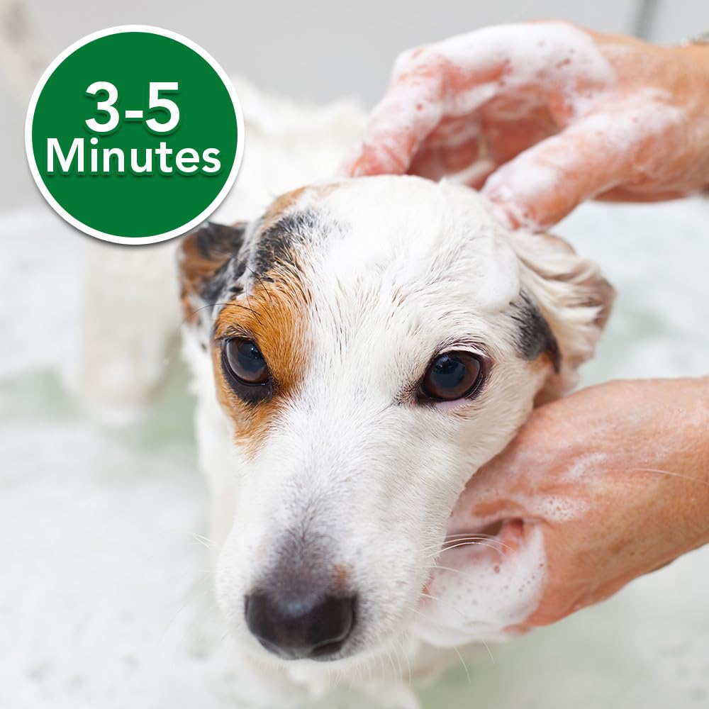 Vet's Best Oatmeal Shampoo for Dogs - Soothes Dry Skin, Cleans & Conditions - 16 Ounces - Blue & Purple