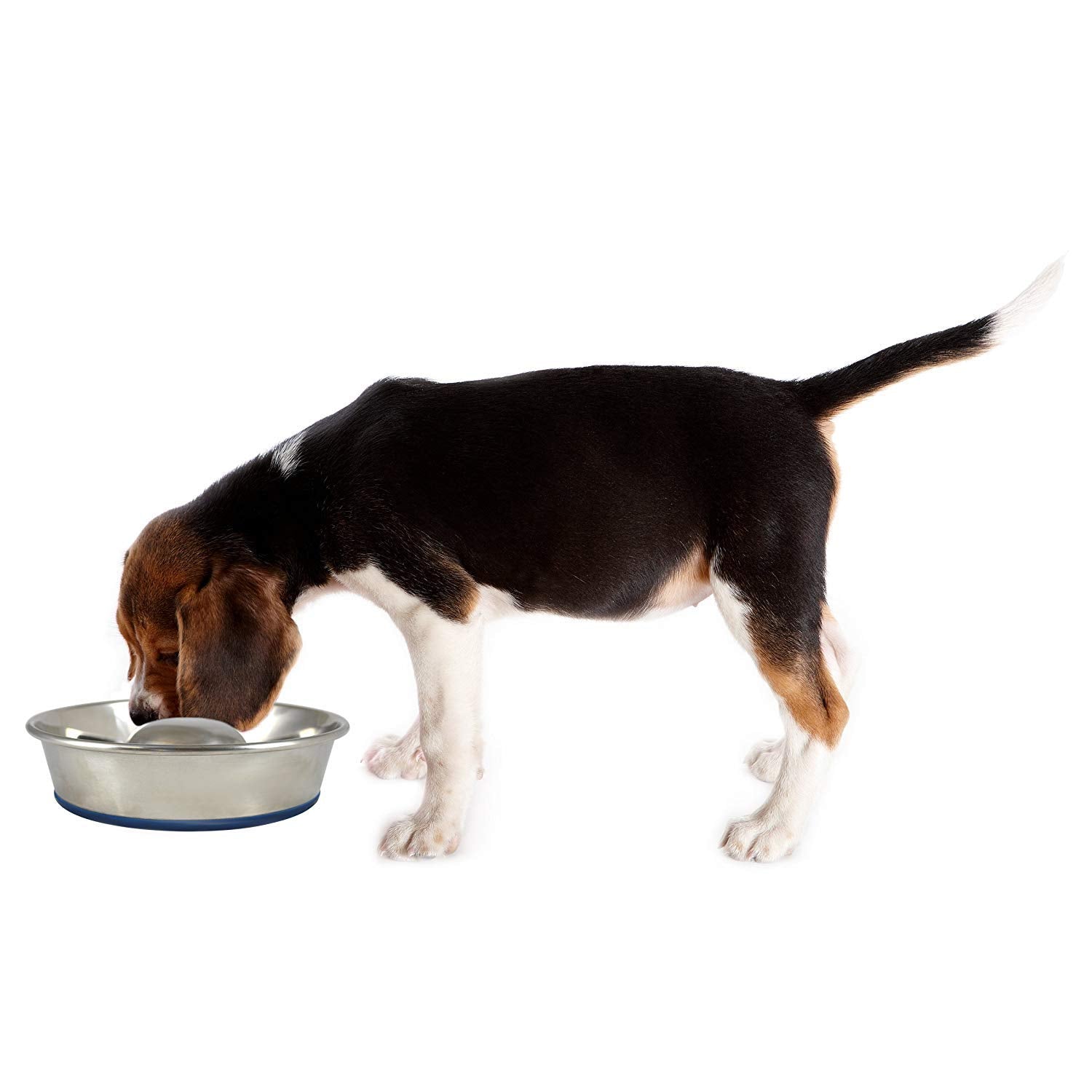 OurPets DuraPet Slow Feed Premium Stainless Steel Dog Bowl, Silver (2040010301)