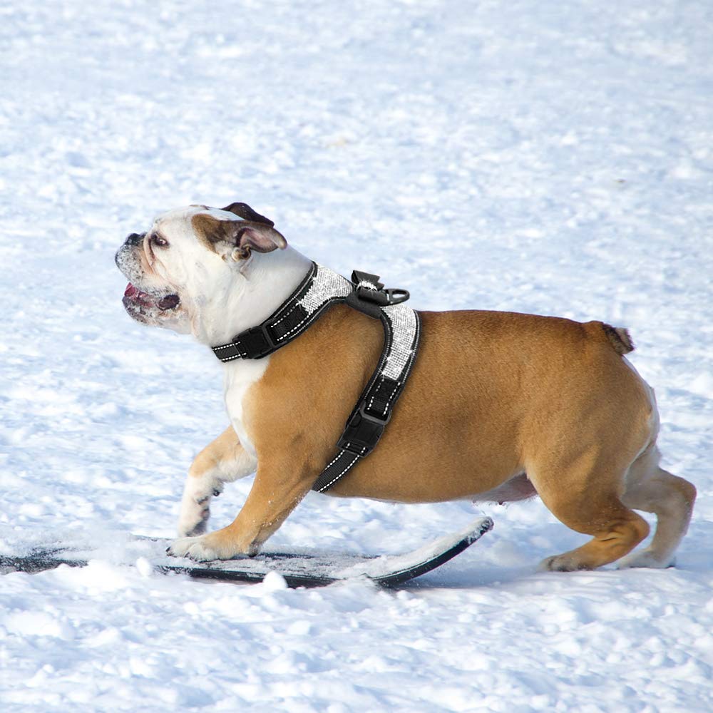 Beirui Rhinestone Dog Harness - Reflective Bling Nylon Dog Vest With Sparkly Bow Tie For Small Medium Large Dogs Walking,Party And Wedding,Black,S