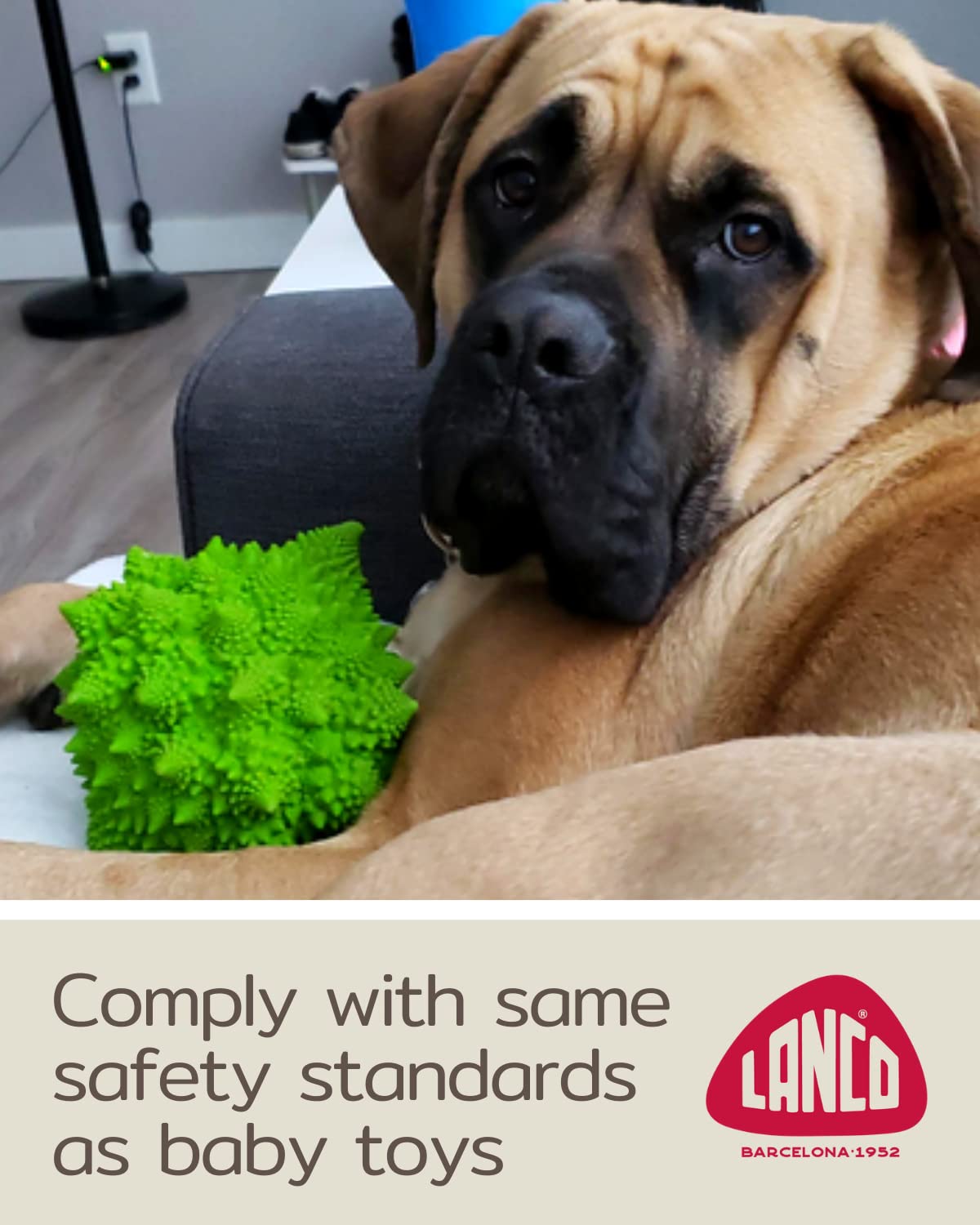 Xl Squeaky Dog Toy - Large And Medium Dogs - Sensory Nubby Dog Toy Broccoli - Natural Rubber (Latex) - Free From Harmful Chemicals (Green) -Like New