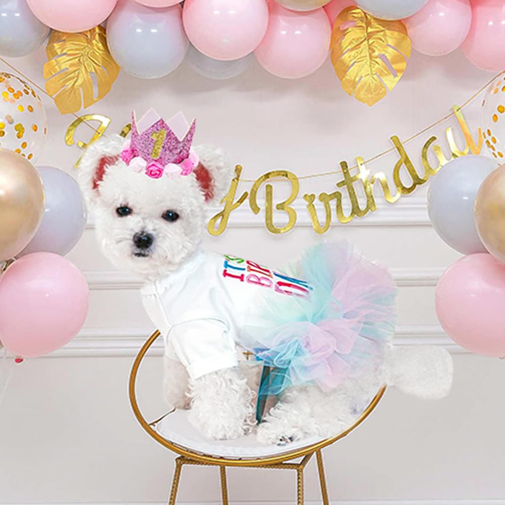 Aniac Dog Birthday Dress And Hat Set Puppy Lace Tutu Pink Pet Crown Hat With 0-9 Figures Birthday Outfit For Cats Small Dog (Whi