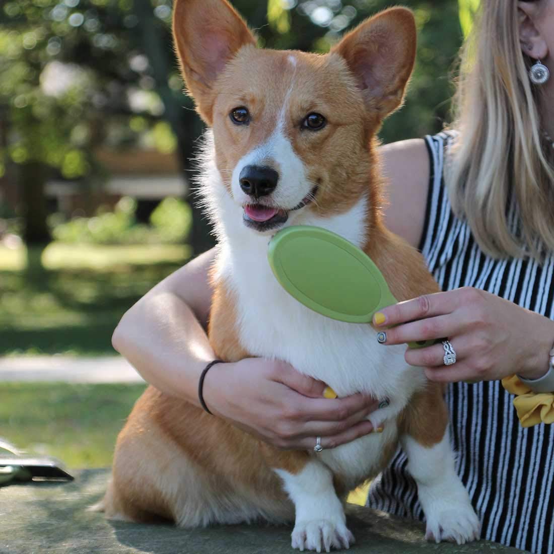 Coastal Pet Safari Bristle Dog Brush, Brush, Small (8' L X 2' W)