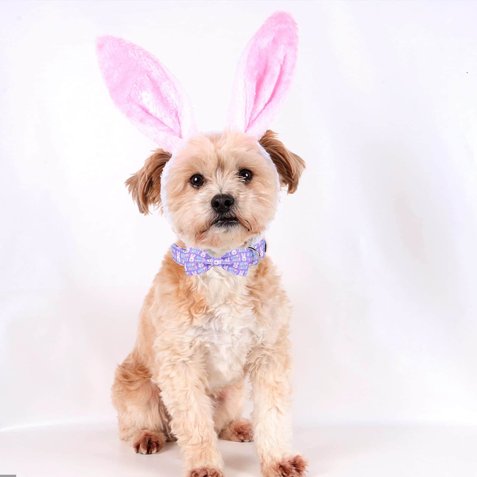 Mr. Chubbyface Easter Dog Collar Rabbit Dog Collar With Bow Adjustable Dog Collar Bowtie For Small Medium Large Dogs