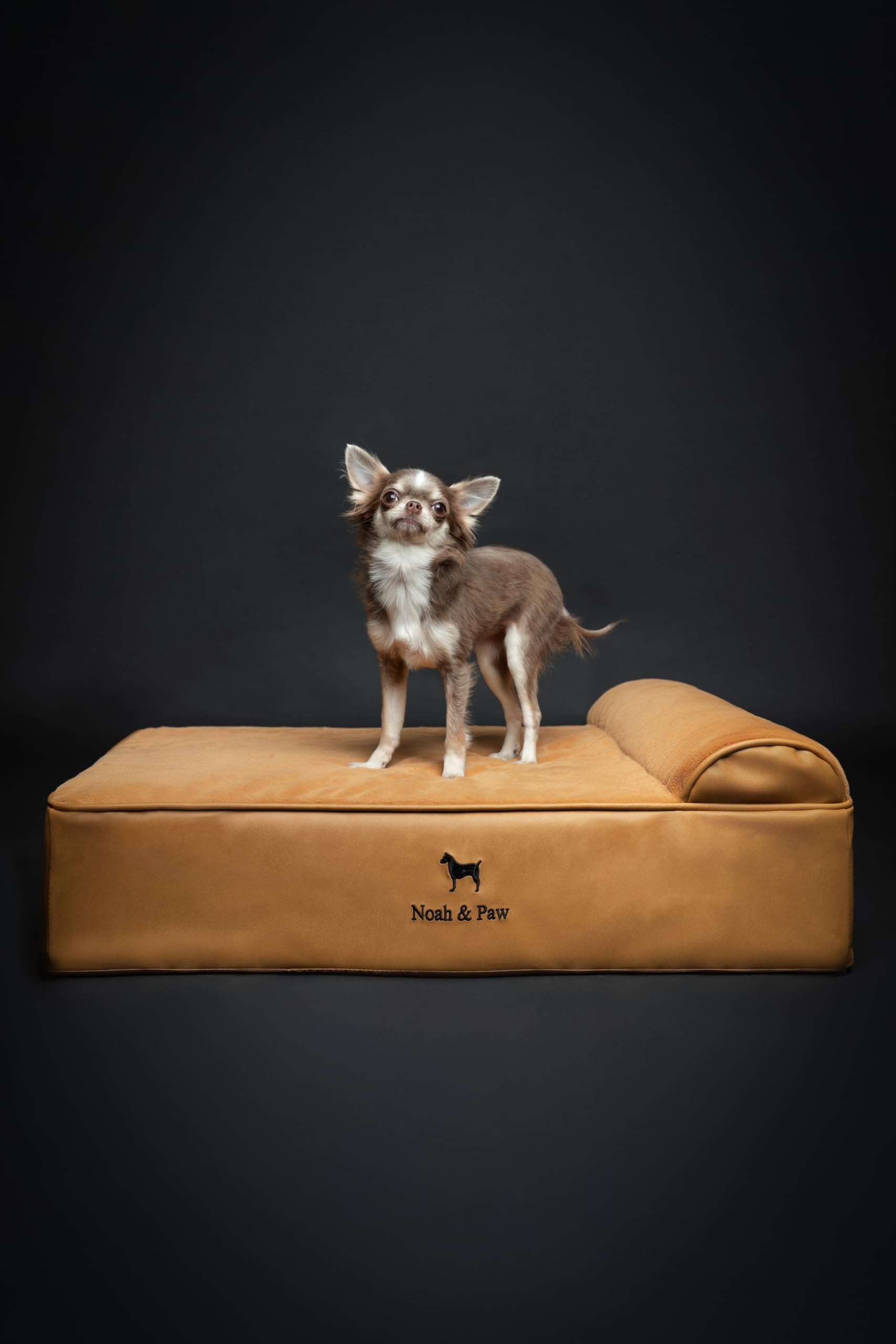 NOAH & PAW Dog Bed, 28x23x11 Inch, Orthopedic Dog Beds for Medium Size Pets, Eggshell Memory Foam Infused with Cooling Gel, Wate