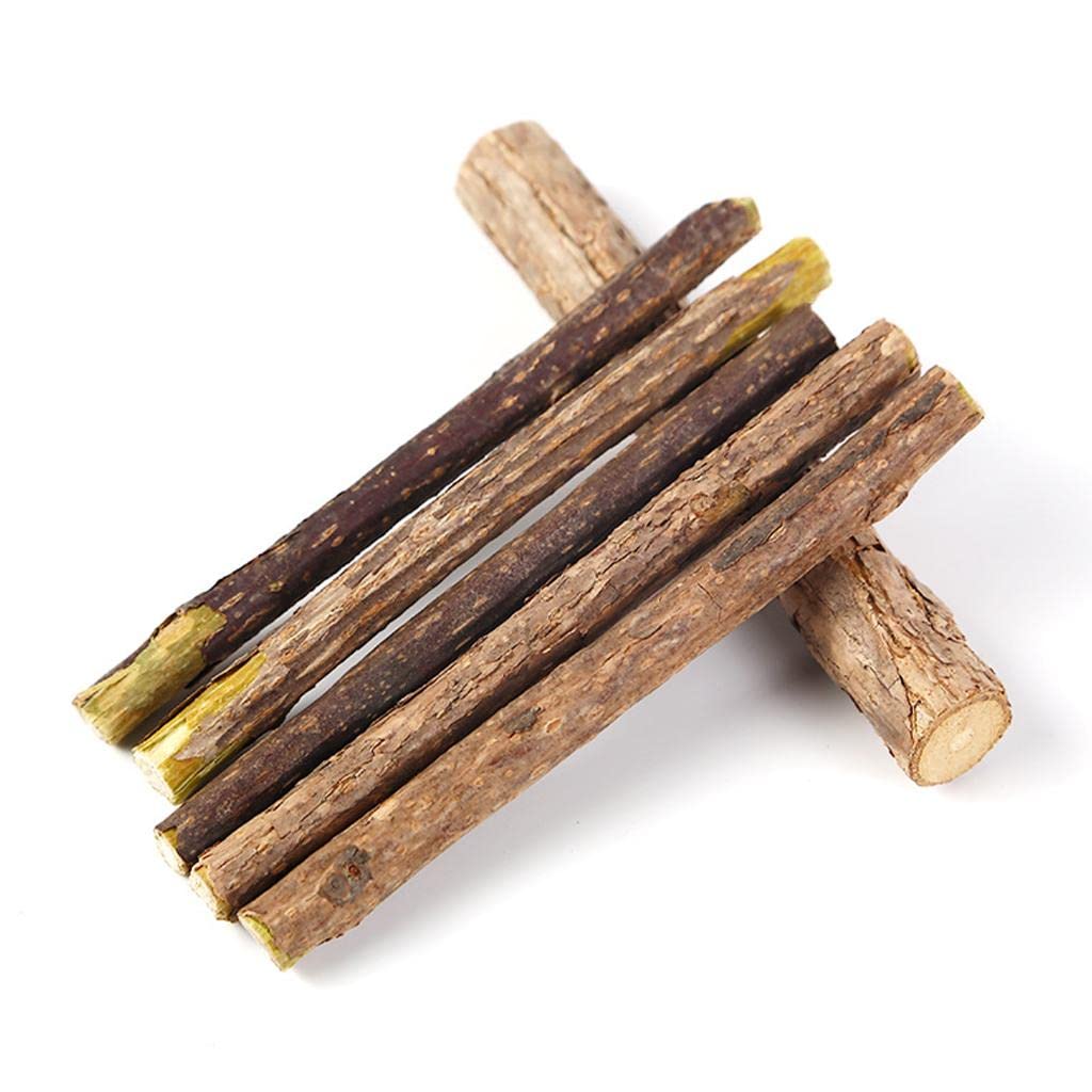 The Style Sutra 5Pcs Catnip Silvervine Sticks Natural Toothpaste Actinidia Polygama Cat Toy | Cat Grass & Loose Catnip | Cat Sup