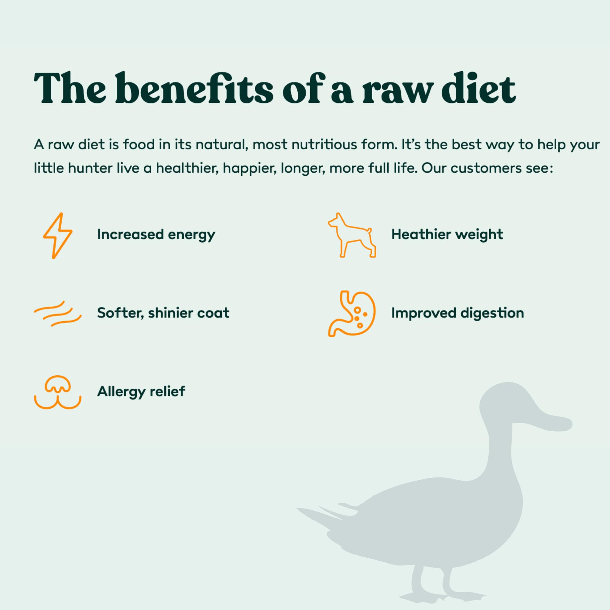 Little Hunter Freeze Dried Dog Treats - Duck Morsel - Raw Single Ingredient Duck Morsel Dog Treats for Snacks, Training, Dog Foo