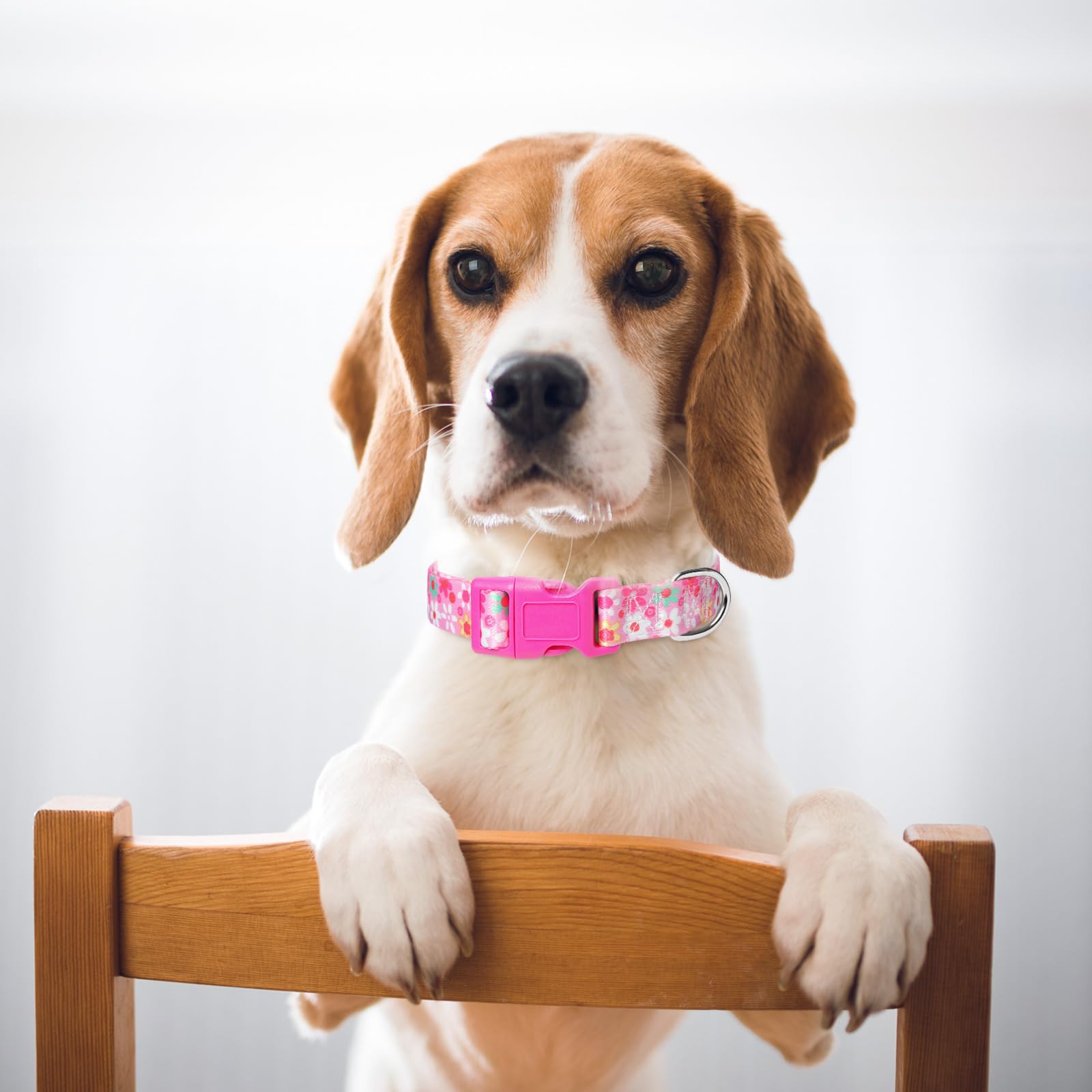 Pink Dog Collar For Girl Dogs, Adjustable Cute Flower Dog Collars, Soft Nylon Collar For Small Medium Large Xl Dogs (Floral M)