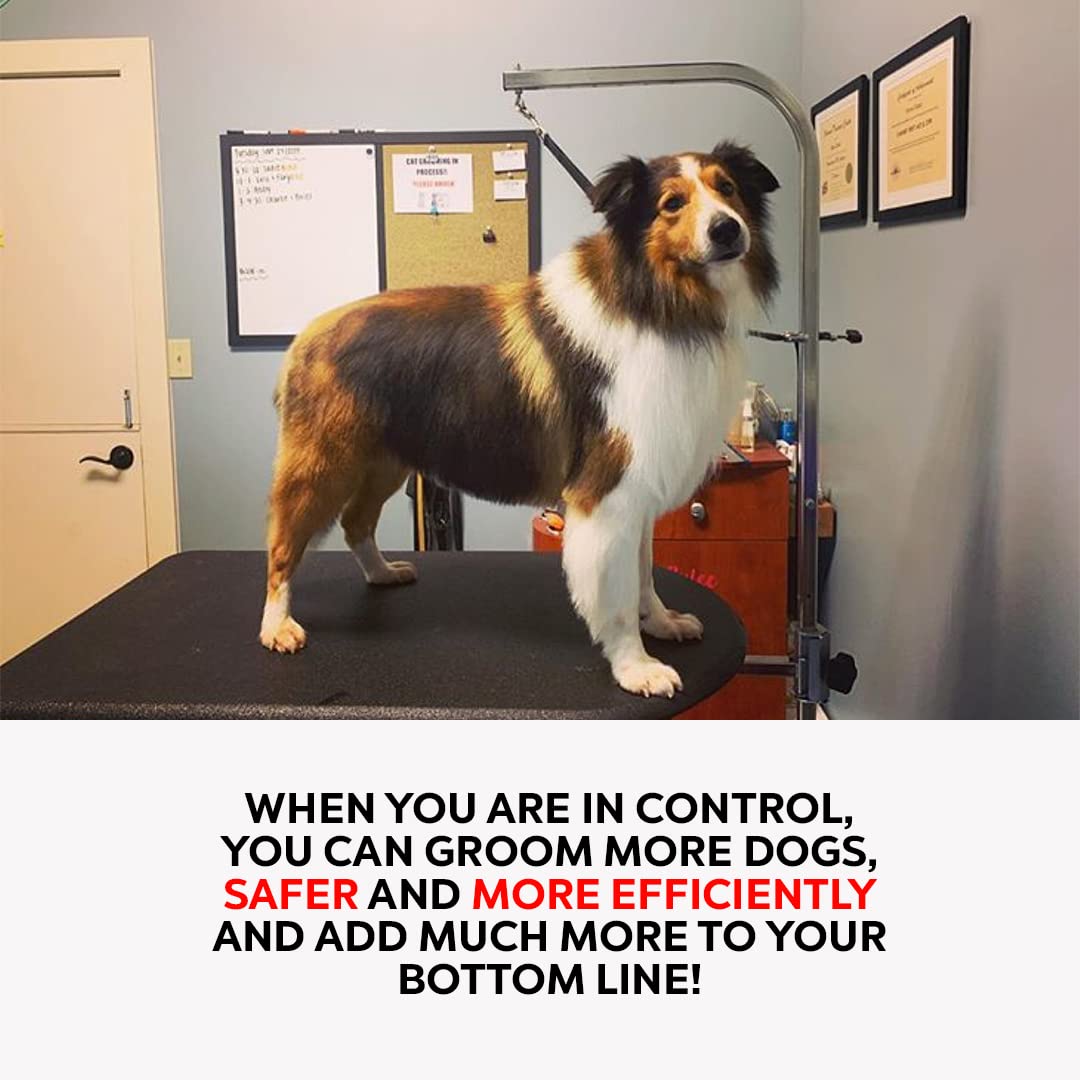 Groomers Helper Classic Starter Set (Black)