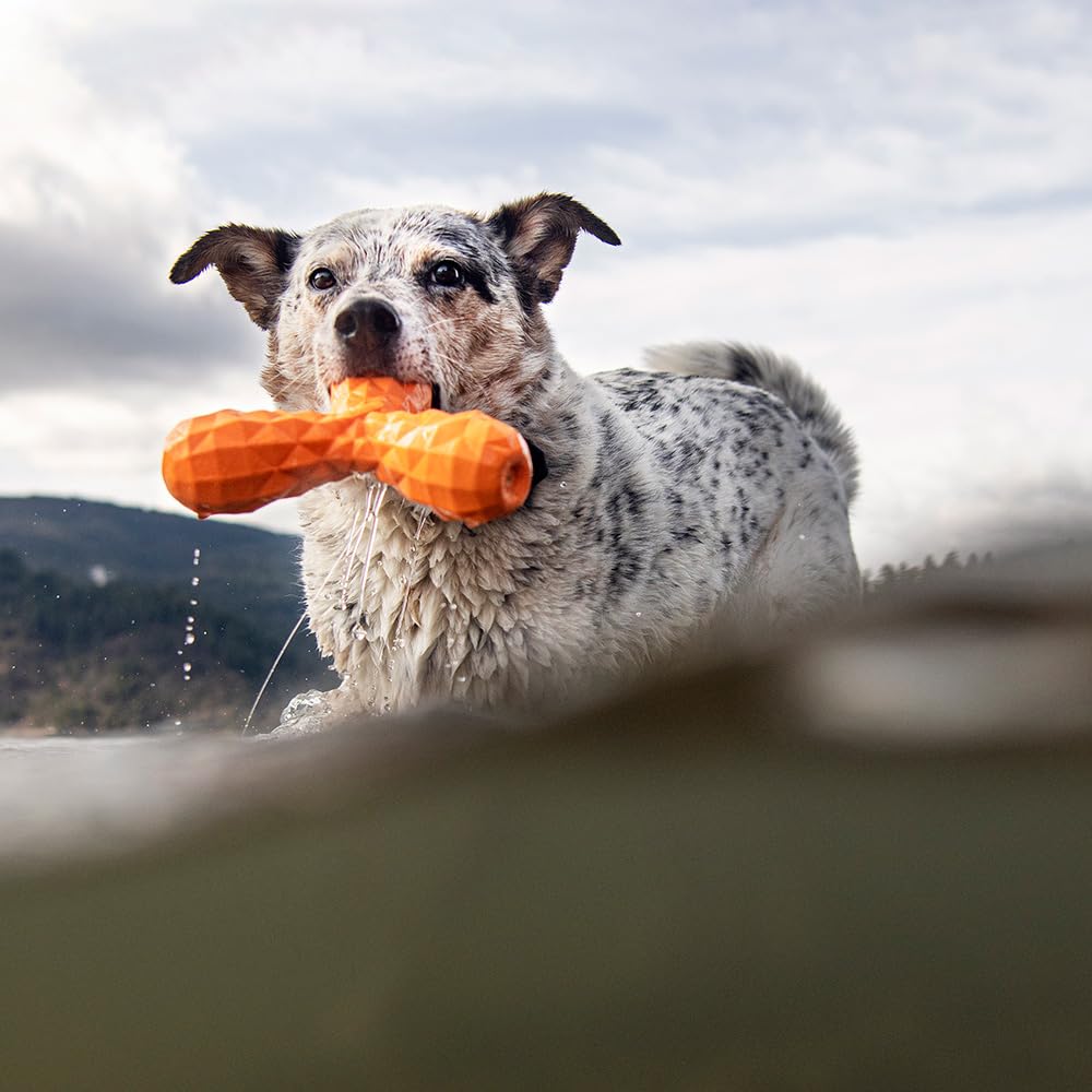 Hound2O Dog Toys - Squeaky Boomerang, Orange - Tough, Engaging, & Interactive For All Breeds- Chew, Chase, & Fetch - Durable Non