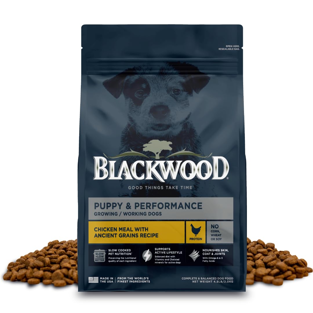 Blackwood Puppy & Performance Dry Dog Food, Chicken Meal with Ancient Grains, 4.5 Pound Bag for Growing & Working Dogs, Supports
