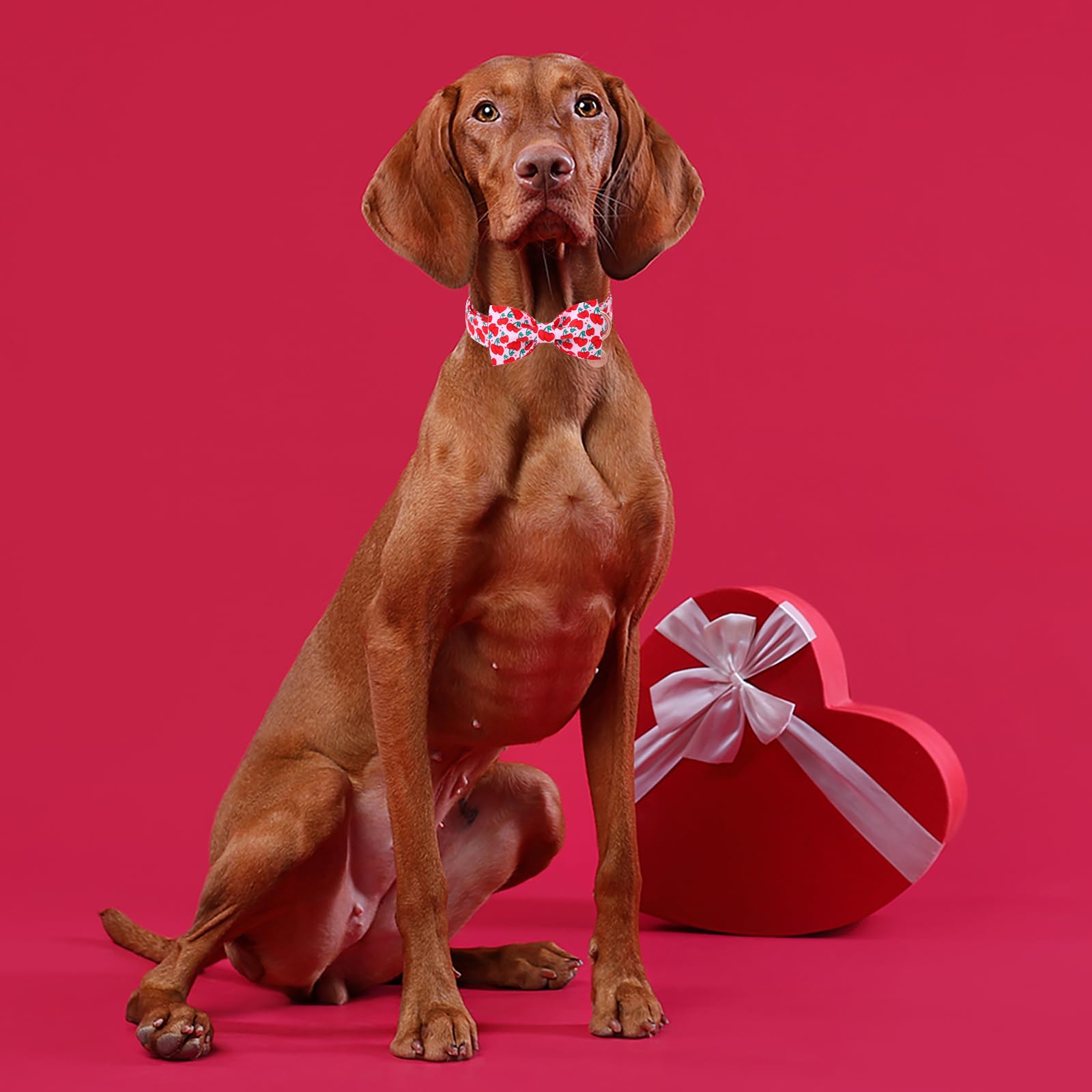 Dogwong Valentine Dog Collar With Bow, Pink Cherry Heart Dog Collar Durable Soft Cotton Pet Dog Collar Cute Heart Valentines Day