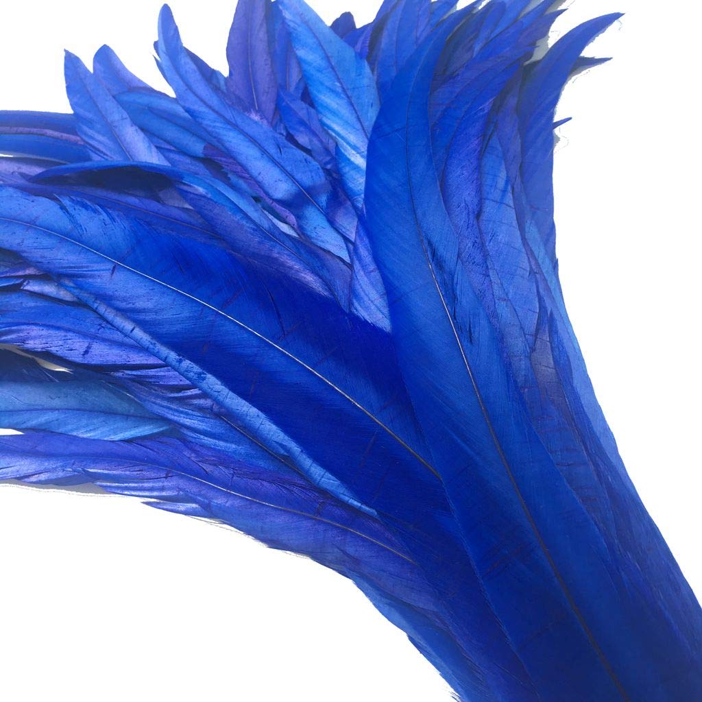 Shekyeon 12-14Inch Rooster Tail Feather Used Hats Costume Decoration Pack Of 50(Royal Blue)