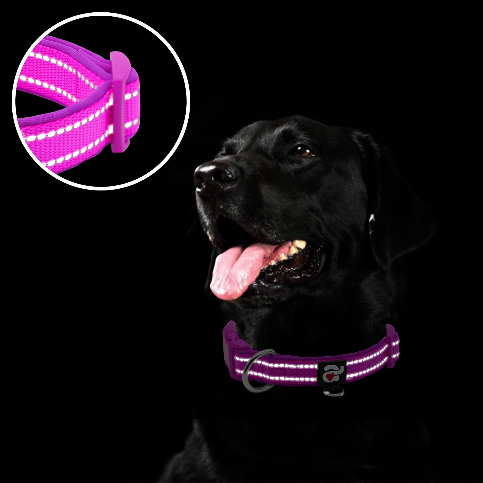 Azuza Reflective Dog Collar,Soft Neoprene Padded Pet Collar With Id Tag Ring,Adjustable For Medium Dogs,Purple,M