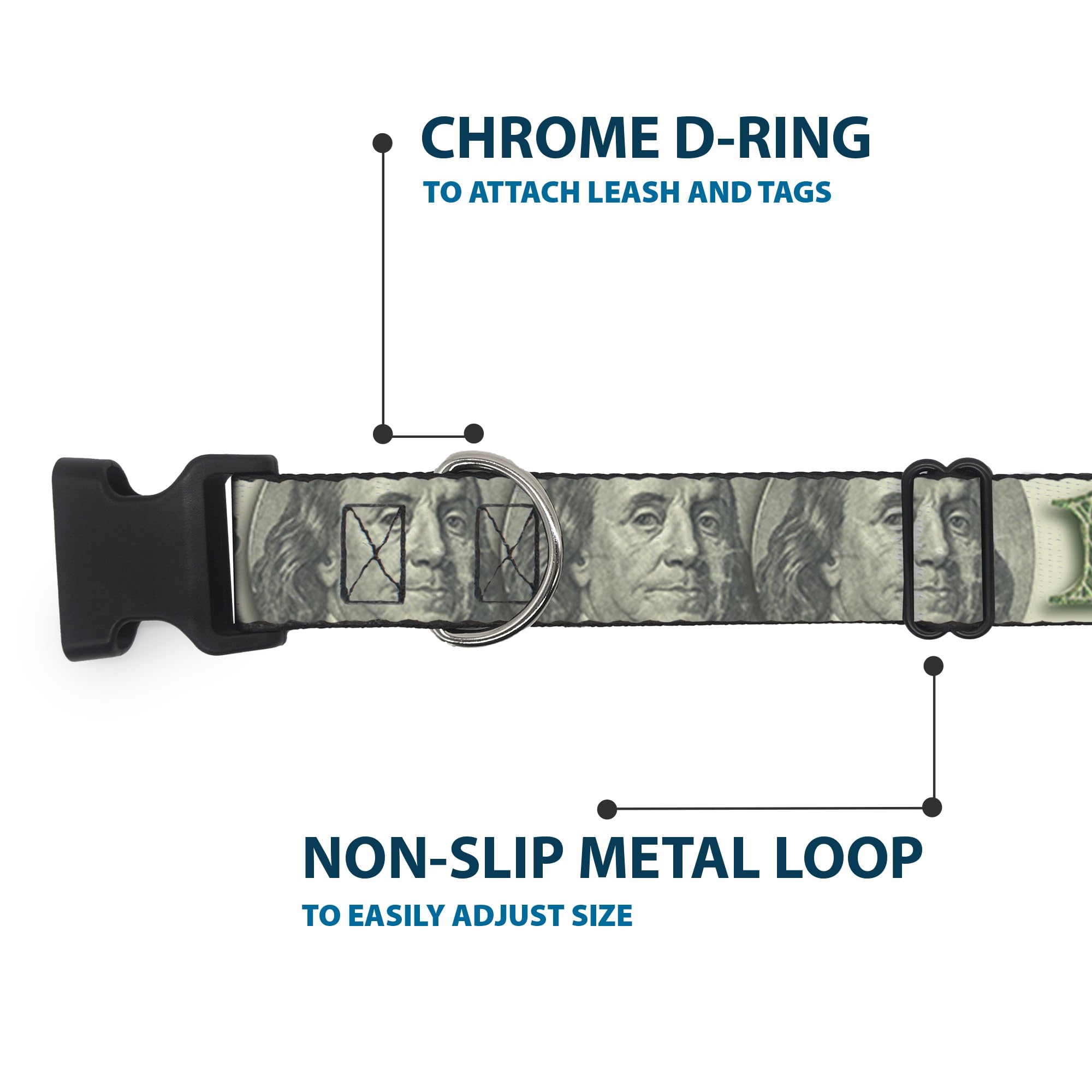 Buckle-Down 100 Dollar Bill C/U/Triple Benjamin Plastic Clip Collar, 1'' X 11-17''/Medium