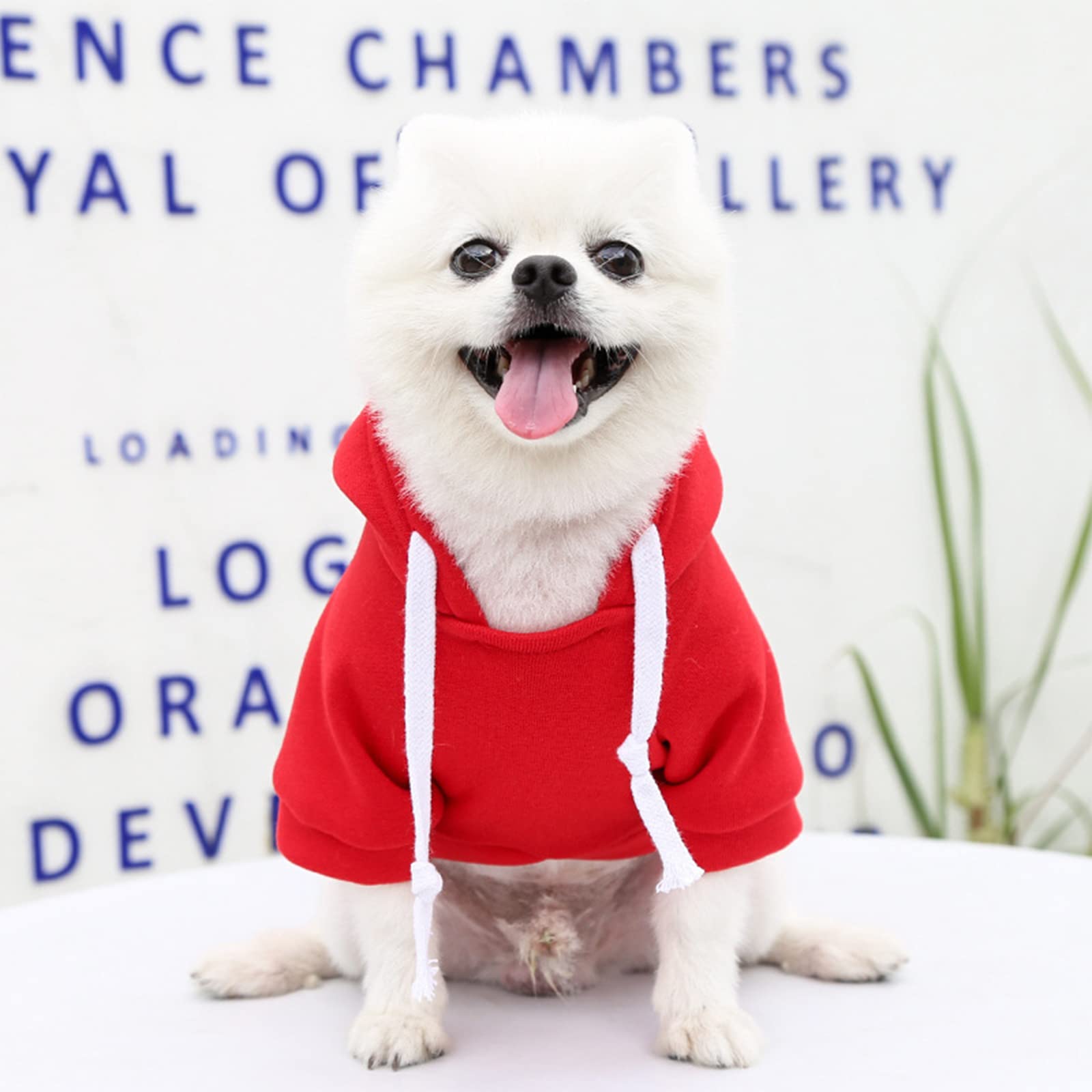 Petcare Dog Hoodies Pet Small Dog Sweater Red Warm Soft Fleece Sweatshirts With Pocket Winter Puppy Cat Sweaters Hooded Clothes