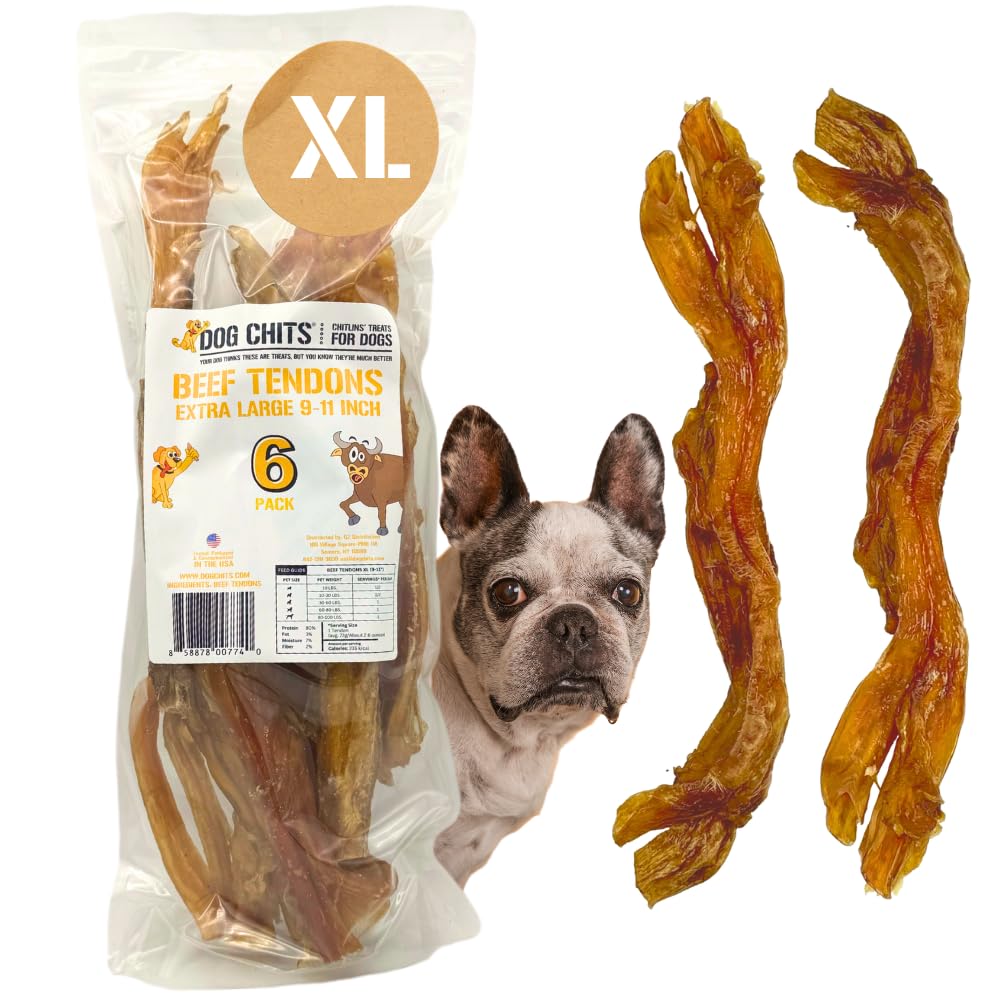 Dog Chits Beef Tendons XL for Dogs and Puppies | Thick Cut | Meaty Cuts | Grass Fed Beef | 9-11 inch | 6 Pack | All Natural Trea