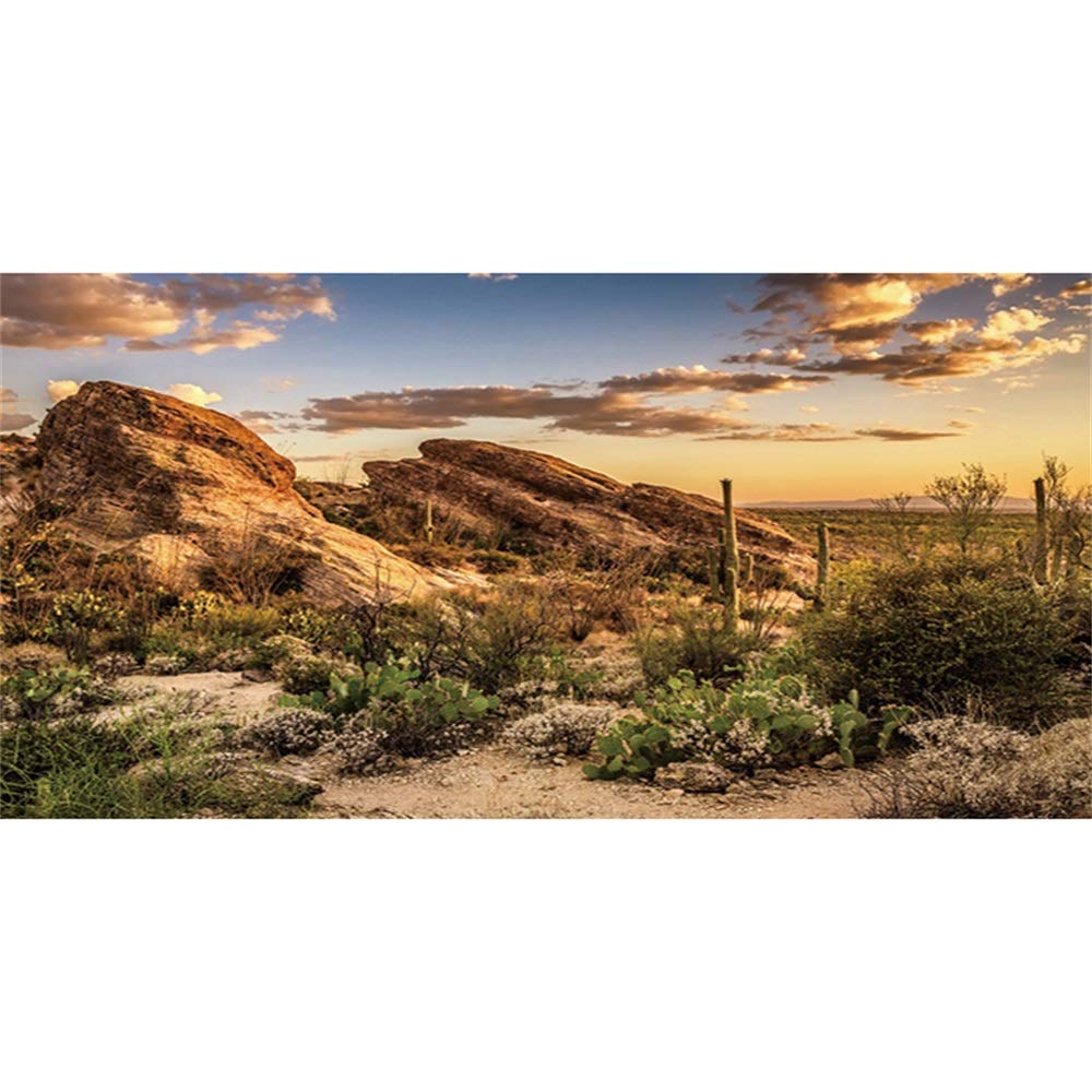 Awert Reptile Habitat Background Blue Sky Oasis Cactus Sun And Desert Terrarium Background 48X18 Inches Durable Polyester Background