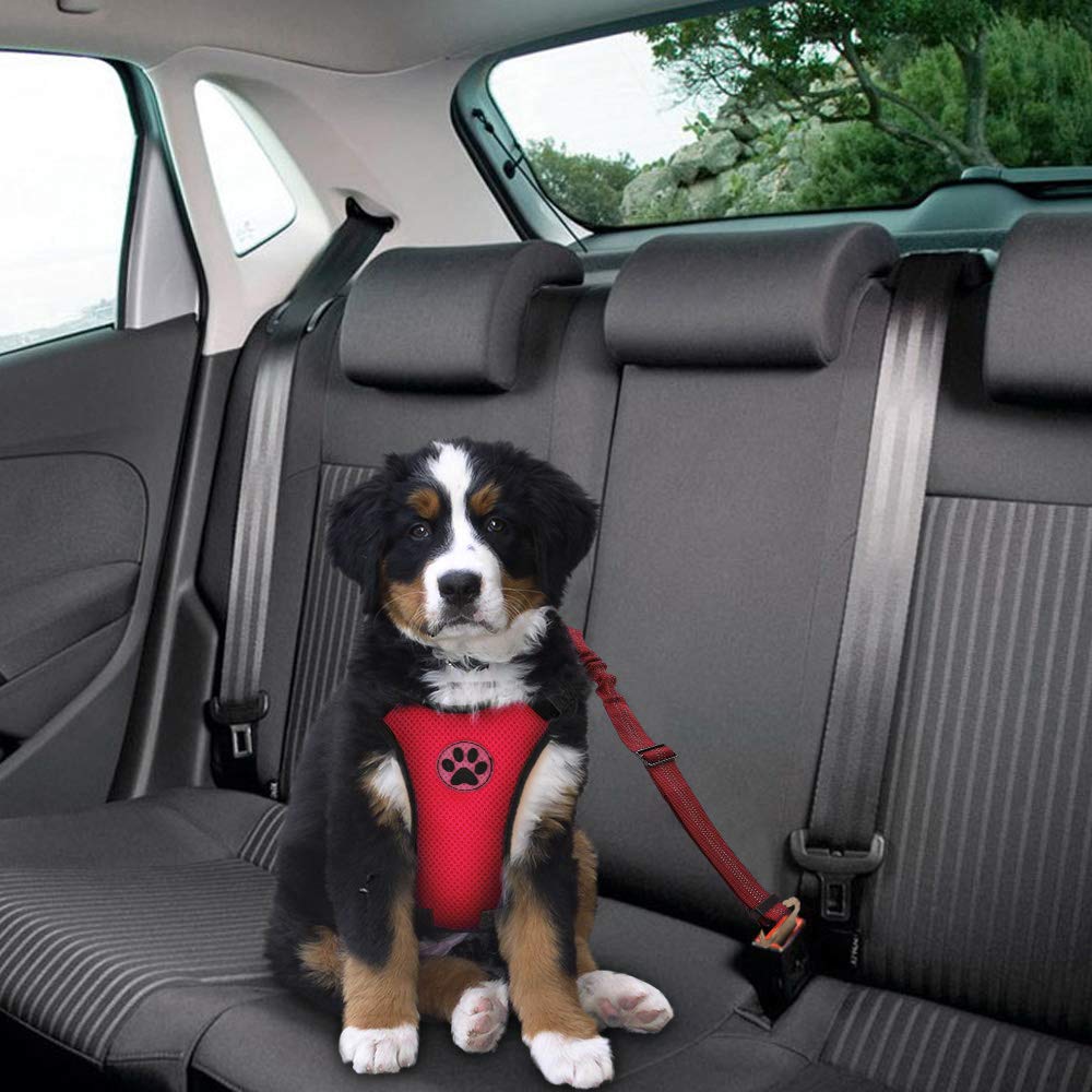 Slowton Dog Seat Belt Harness For Car, Dog Car Harness Adjustable Mesh Breathable & Dog Seatbelt Safety Tether With Elastic Bungee For Small Medium Large Pets(Red Seatbelt, Single Clip, Xxxs)