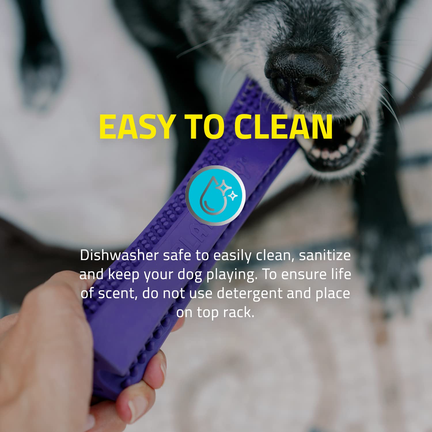 Playology Silver Dental Chew Stick Dog Toy, Large - Designed for Senior Dogs (35lbs and Up) - Engaging All-Natural Pork Sausage